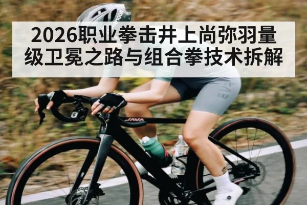 2026职业拳击井上尚弥羽量级卫冕之路与组合拳技术拆解